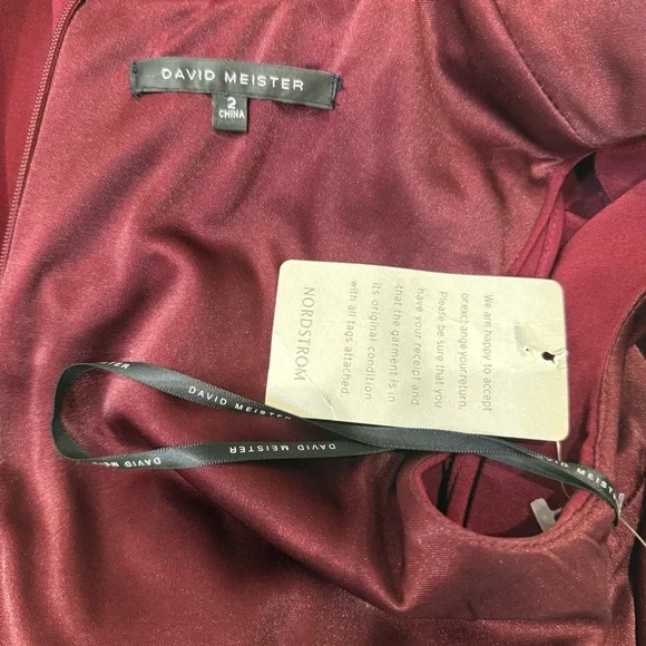 π David Meister Magenta Cap Gown Size - Main Image